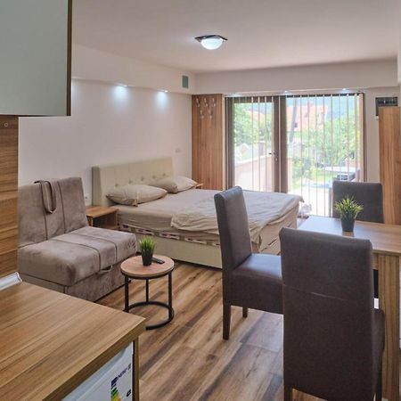 Apartmani Tvins Sokobanja Buitenkant foto