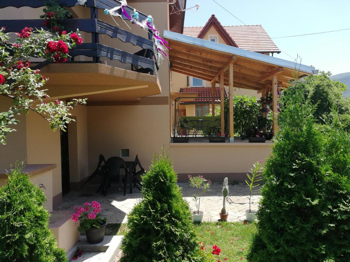 Apartmani Tvins Sokobanja Buitenkant foto