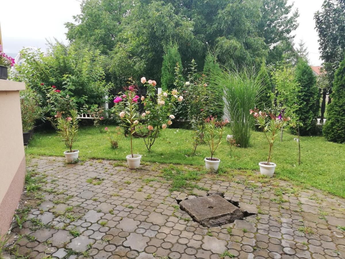 Apartmani Tvins Sokobanja Buitenkant foto