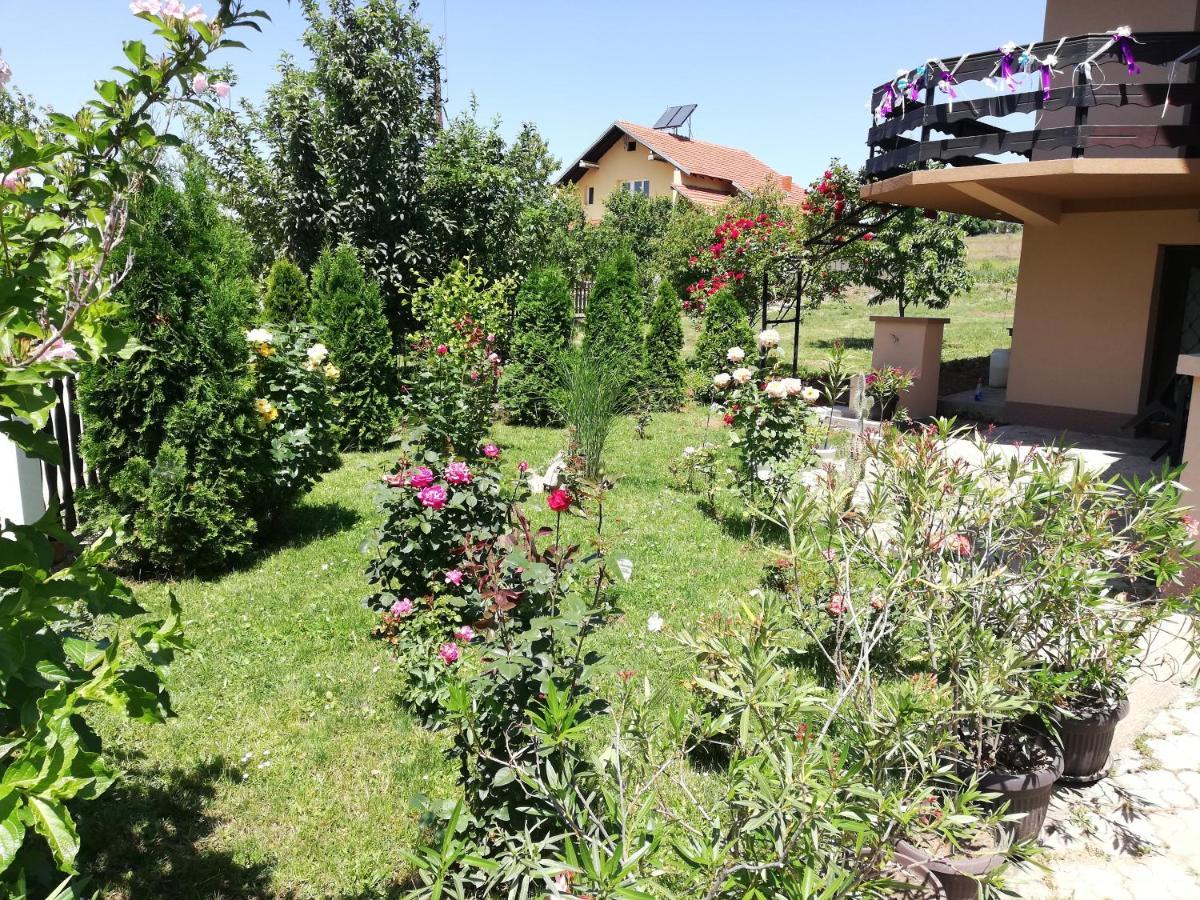 Apartmani Tvins Sokobanja Buitenkant foto