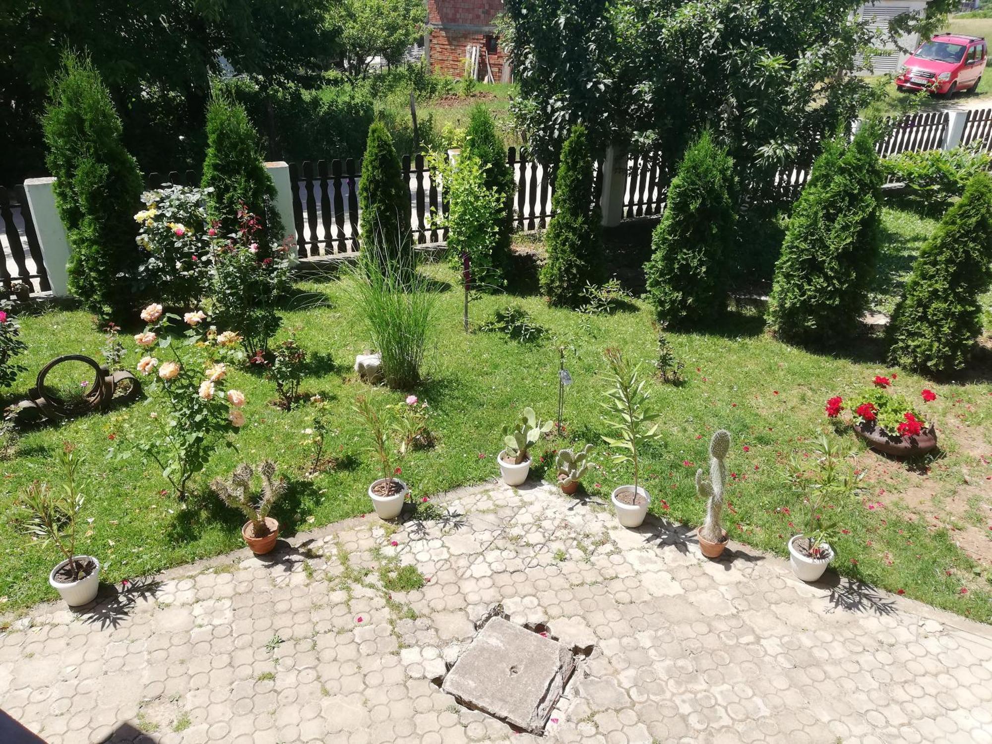 Apartmani Tvins Sokobanja Buitenkant foto